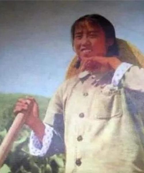 公司活动